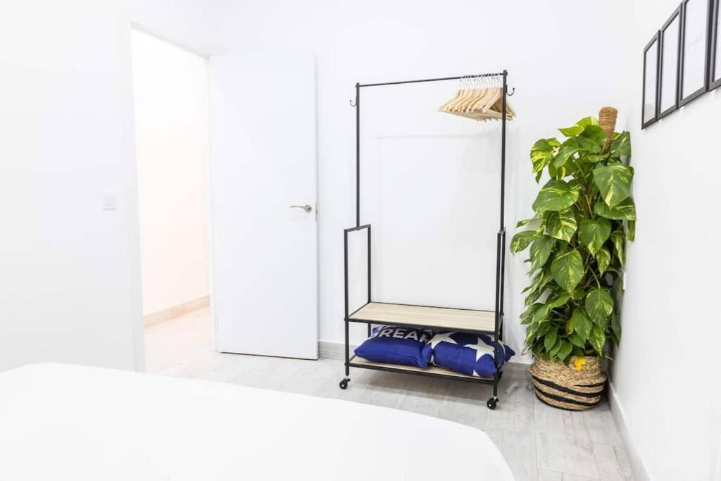 La Casa Del Mercader By Gades Gestion Cadiz Ngoại thất bức ảnh