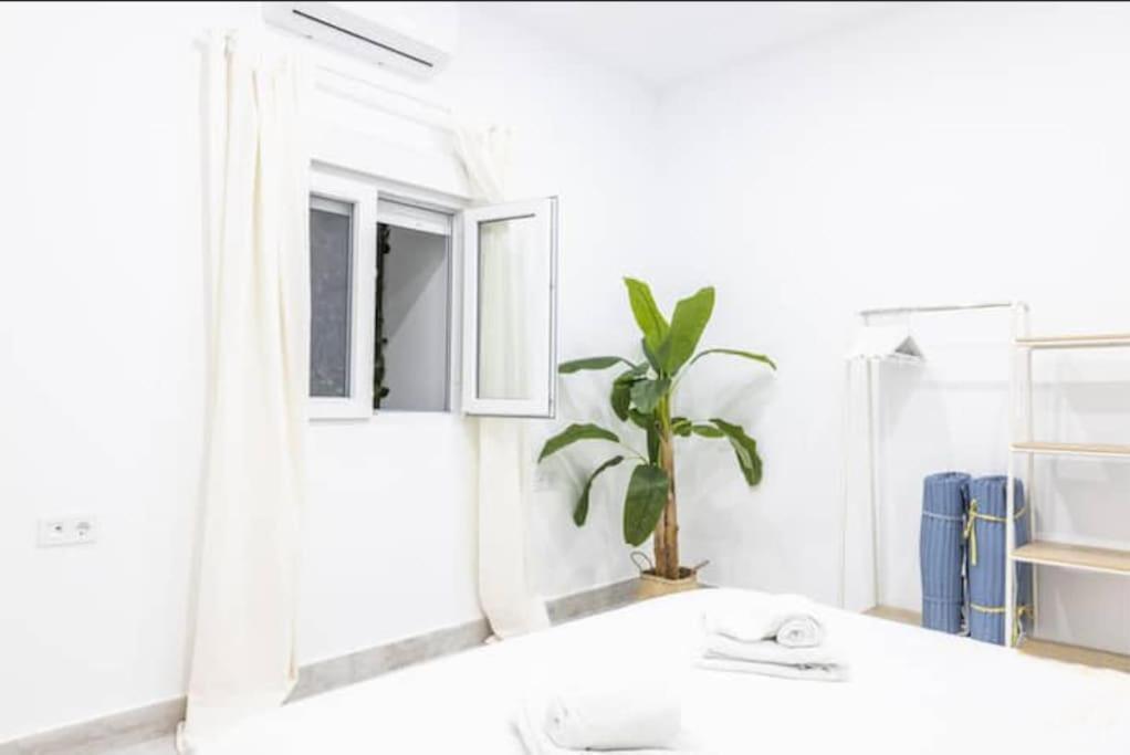 La Casa Del Mercader By Gades Gestion Cadiz Ngoại thất bức ảnh